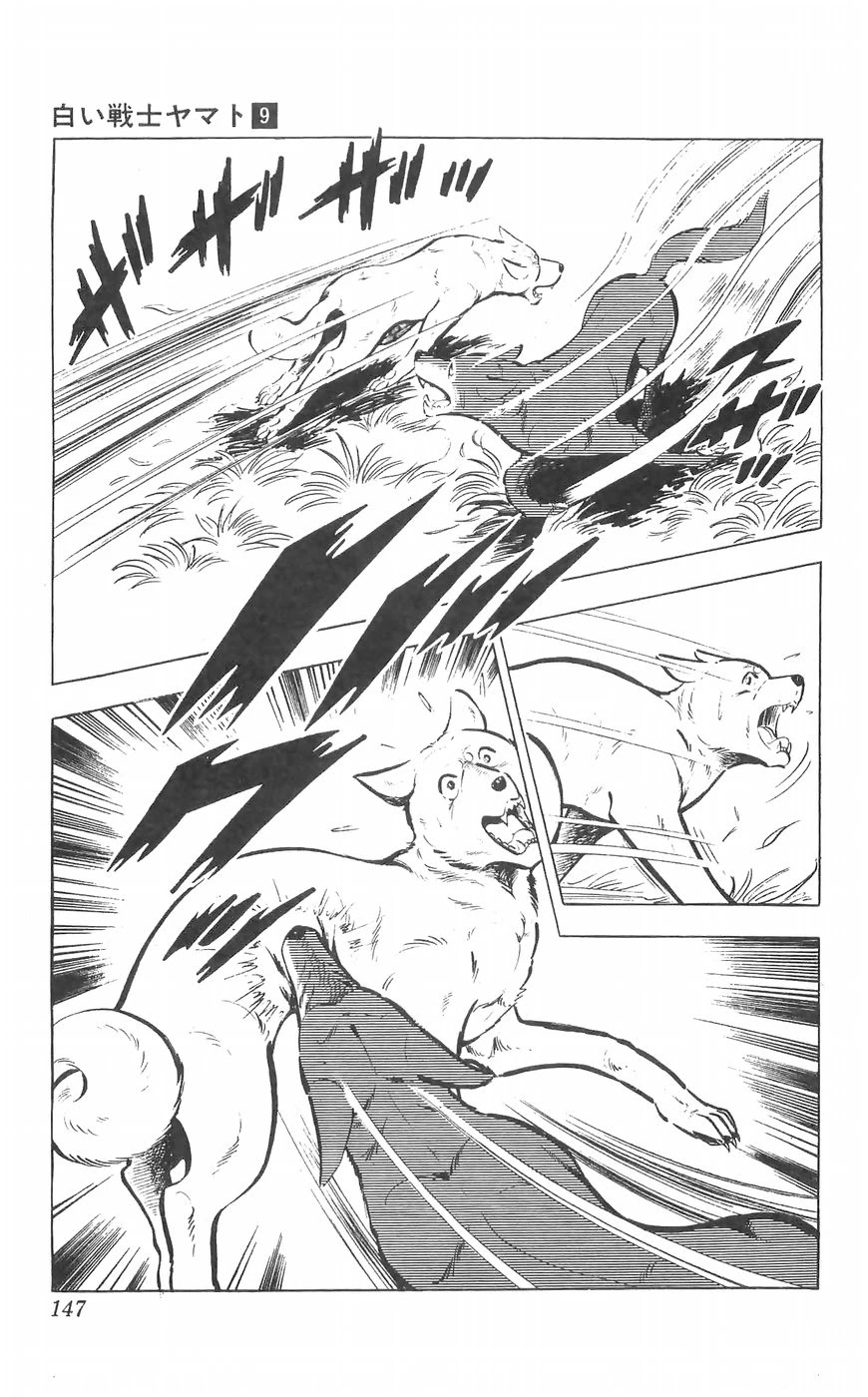 Shiroi Senshi Yamato Chapter 37 page 5 - Chapter 37: Musashi, The Incredible!