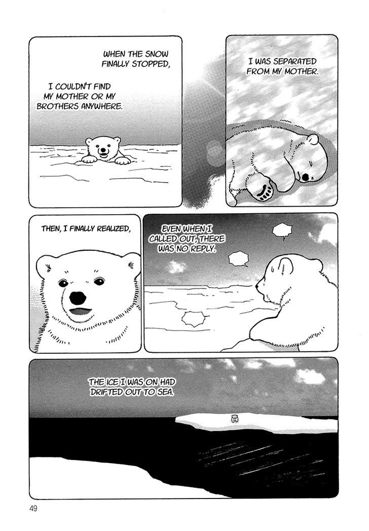 Shirokuma Cafe Chapter 30 page 5 - Chapter 30 : New Comrade 5