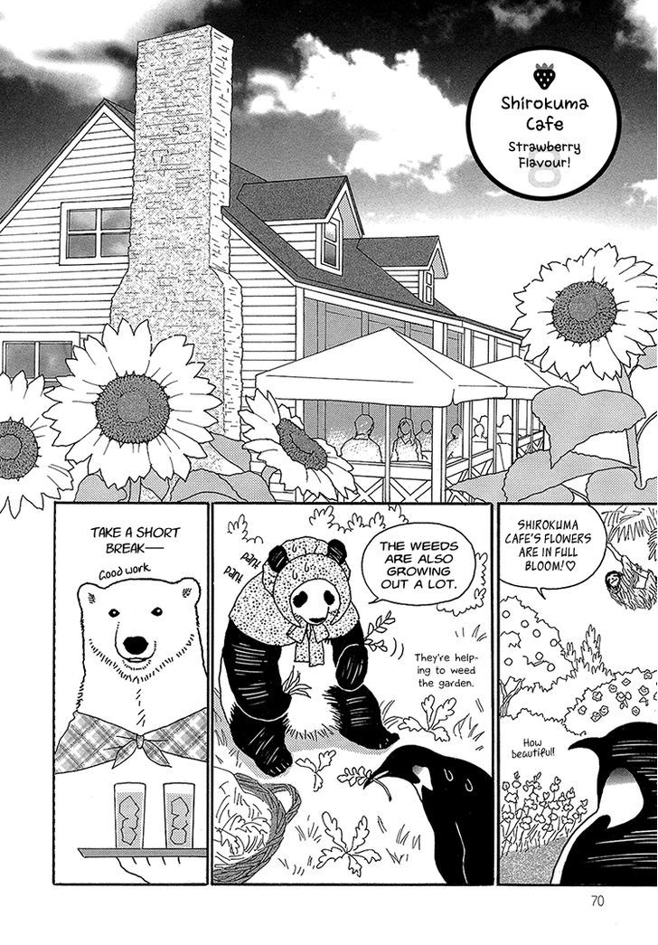 Shirokuma Cafe Chapter 33 page 3 - Chapter 33 : Summer Cafe 3