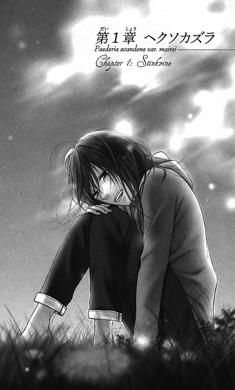 Shokubutsu Zukan (TSUTSUMI Kakeru) Chapter 1 page 6 - Chapter 1 : Stinkvine