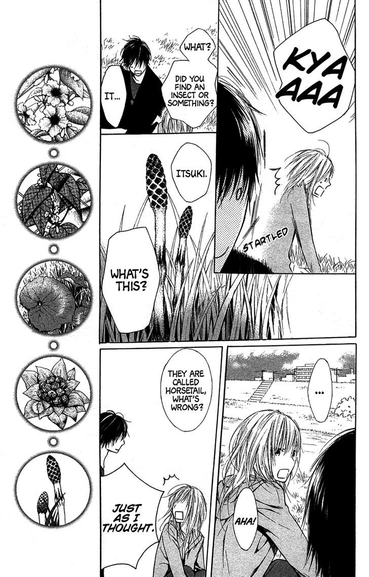Shokubutsu Zukan (TSUTSUMI Kakeru) Chapter 2.2 page 21 - Chapter 2 v2 : Fuki and Horsetail