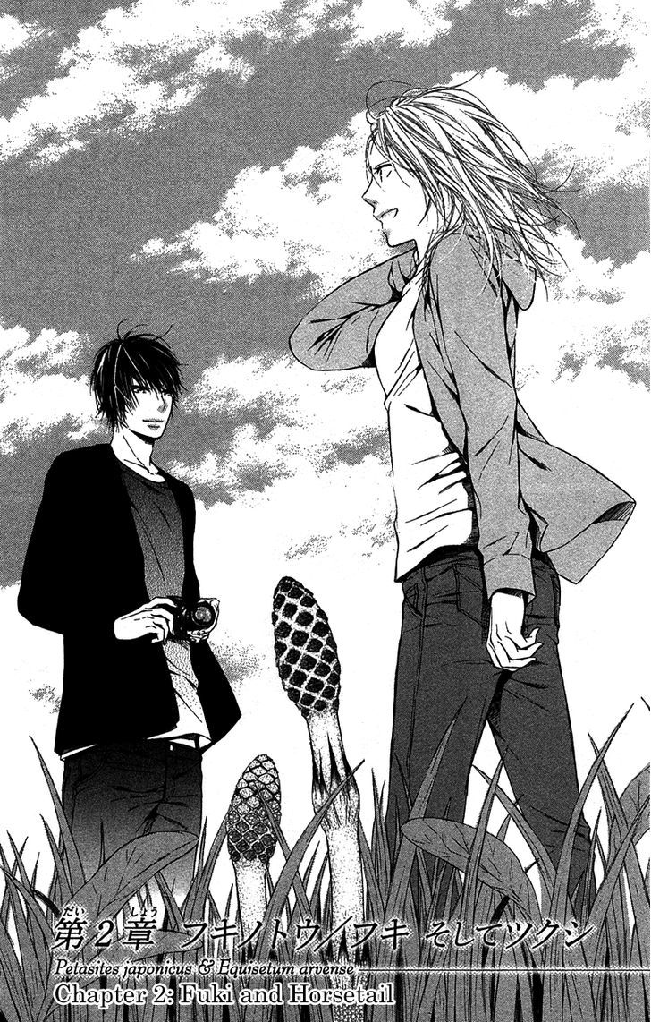 Shokubutsu Zukan (TSUTSUMI Kakeru) Chapter 2.2 page 3 - Chapter 2 v2 : Fuki and Horsetail
