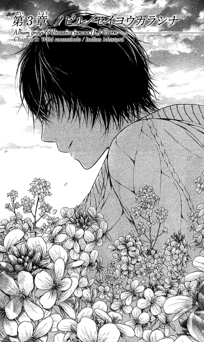 Shokubutsu Zukan (TSUTSUMI Kakeru) Chapter 3 page 4 - Chapter 3 : Wild Rocambole and Indian Mustard
