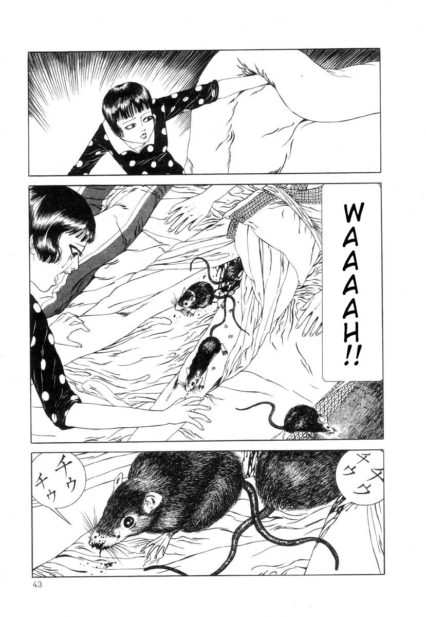 Shoujo Tsubaki Chapter 0 page 9 - Chapter 0: Prequel: The Secret and Sad story of the Camelia Girl