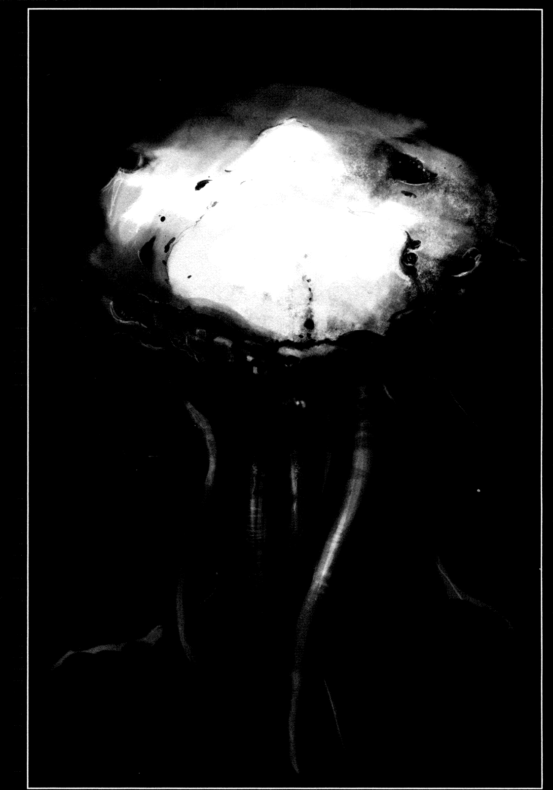 Sidonia no Kishi Chapter 35 page 34 - Chapter 35: Reduction of Ocarina Part 2