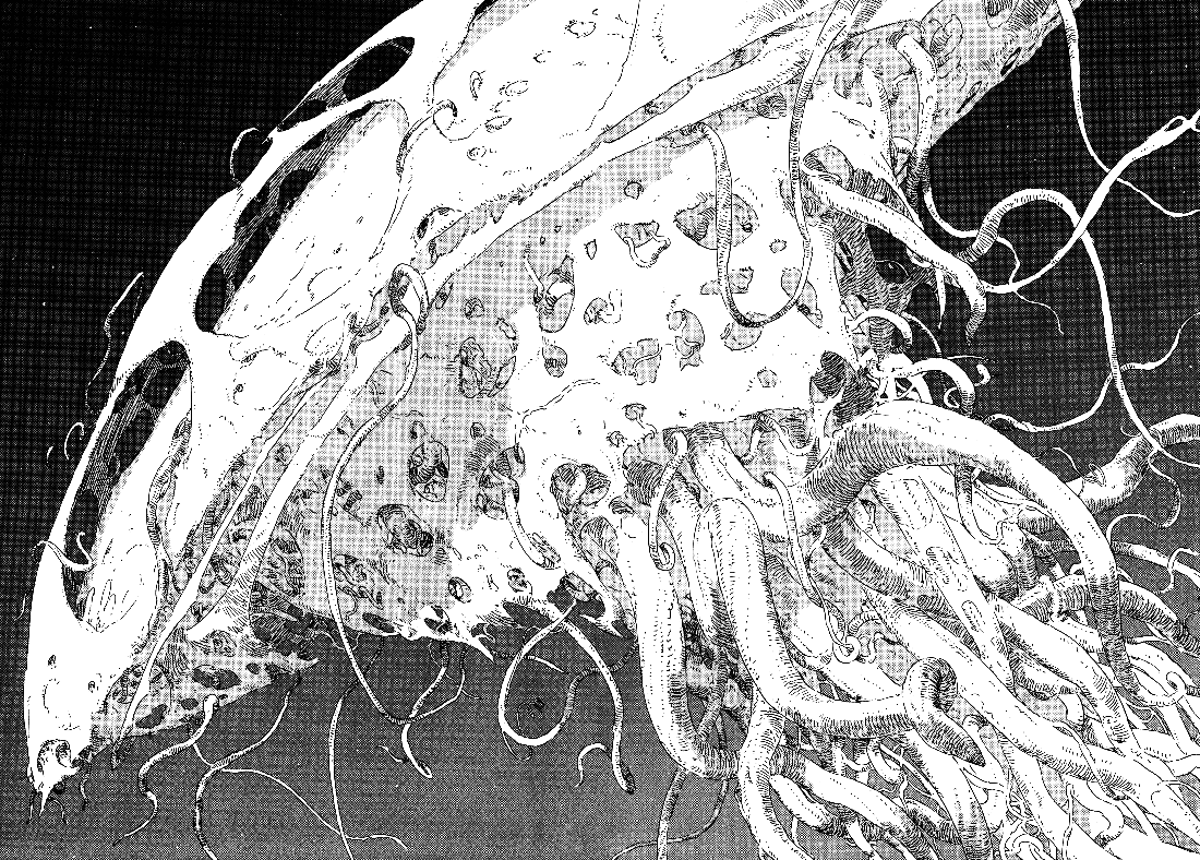Sidonia no Kishi Chapter 53 page 4 - Chapter 53: The Large Mass Union Ship's Presence