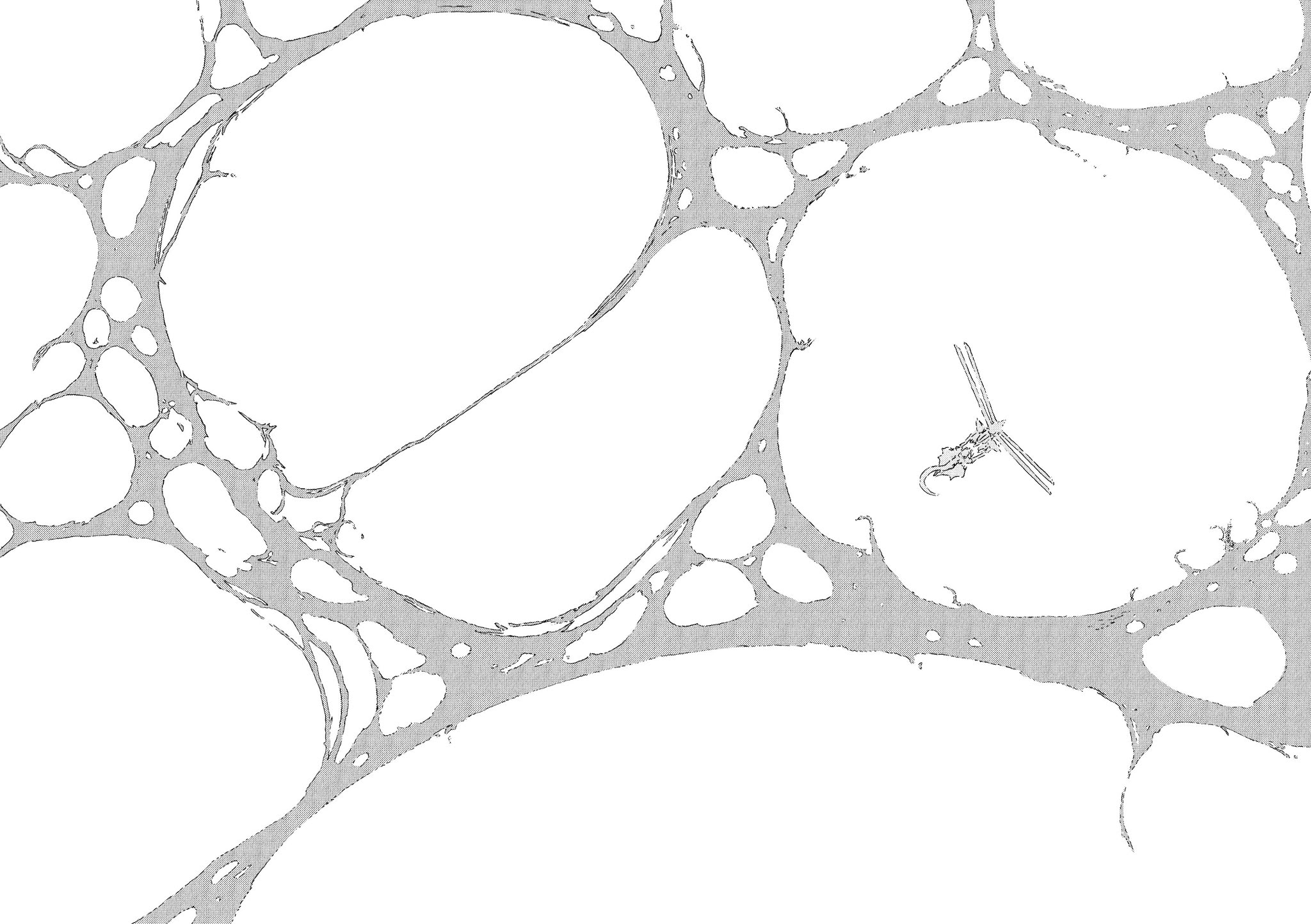 Sidonia no Kishi Chapter 59 page 30 - Chapter 59: The Gravity of the Star Lem