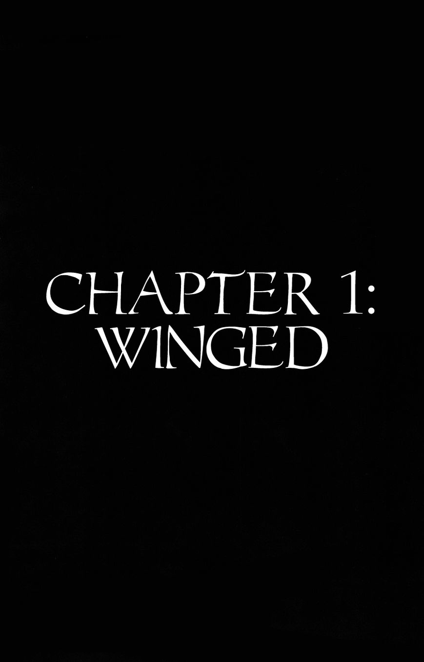 Silent Knight Shou Chapter 1 page 12 - Chapter 1 : Winged