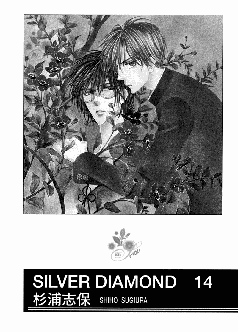 Silver Diamond Chapter 40 page 3 - Chapter 40 : "Eternity"