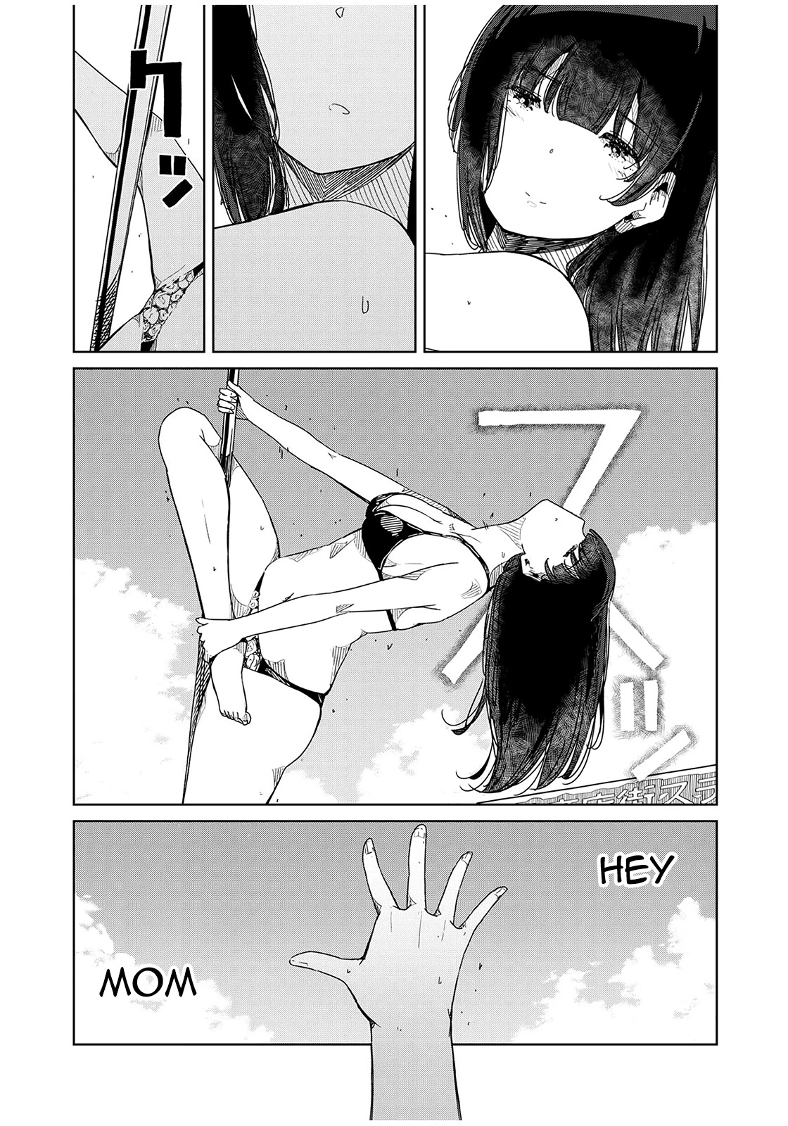 Silver Pole Flowers Chapter 12 page 15 - Chapter 12: Was I Able To Convey It