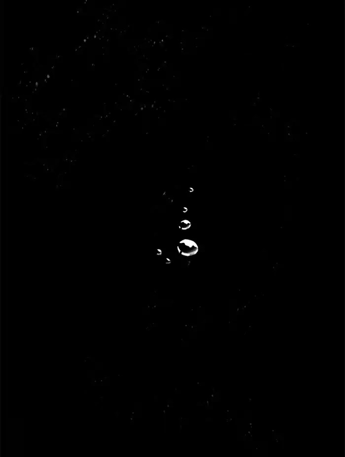 Siren's Lament Chapter 115 page 53 - Chapter 115: [Season 2] The Same Mistakes