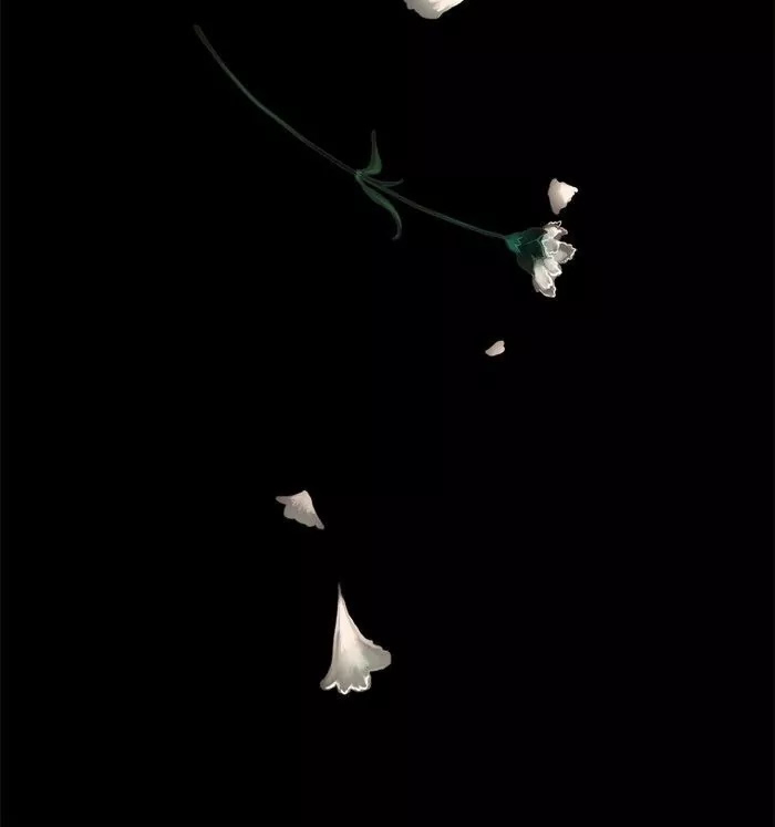 Siren's Lament Chapter 72 page 11 - Chapter 72: Wilting Flower