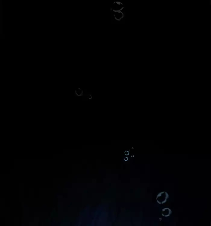 Siren's Lament Chapter 77 page 20 - Chapter 77: Lost in the Tide