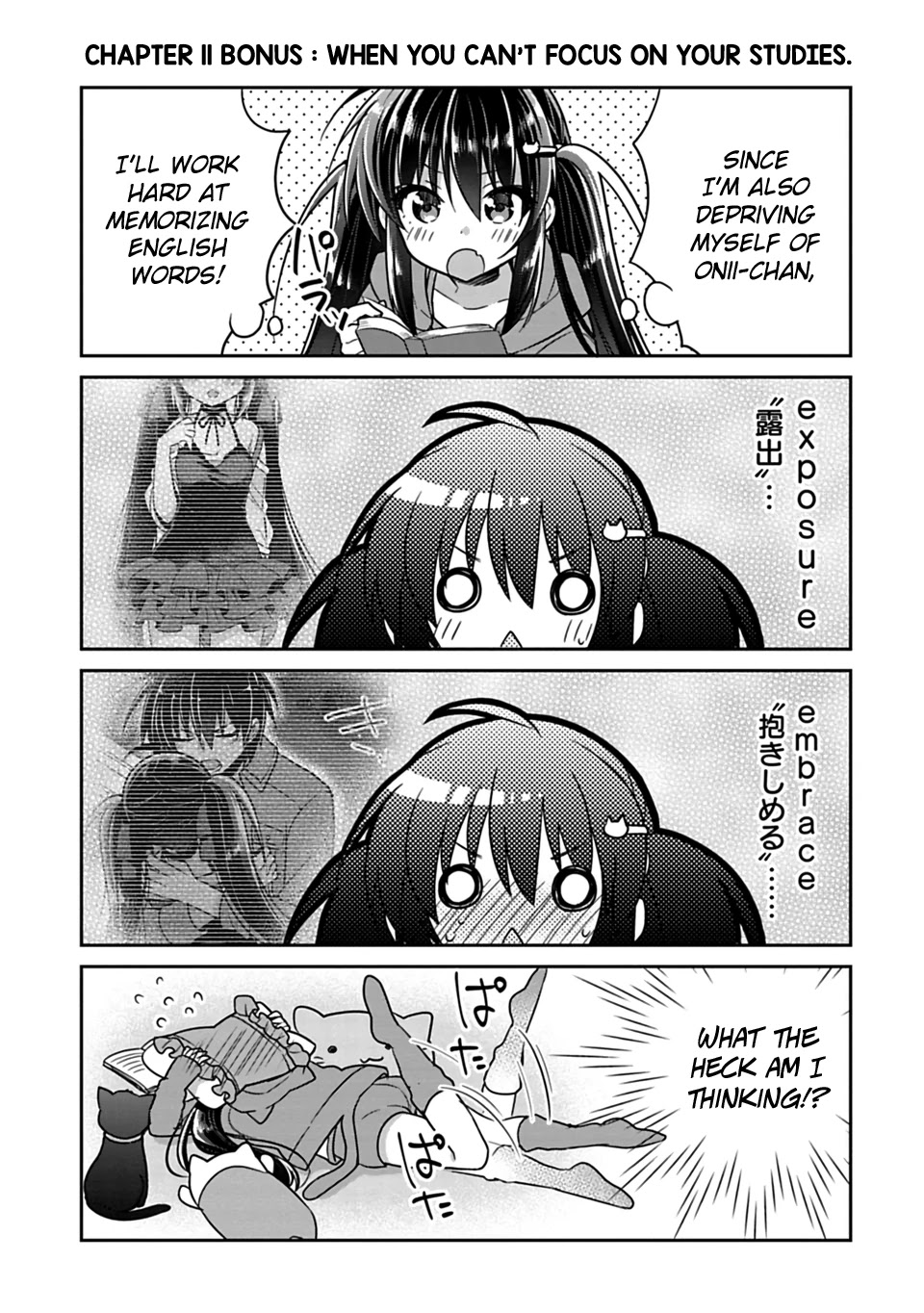 Siscon Ani to Brocon Imouto ga Shoujiki ni Nattara Chapter 11.2 page 1 - Chapter 11.2: Omake