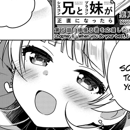 Siscon Ani to Brocon Imouto ga Shoujiki ni Nattara Chapter 6: When You Do Your Best, I Want to Root For You cover