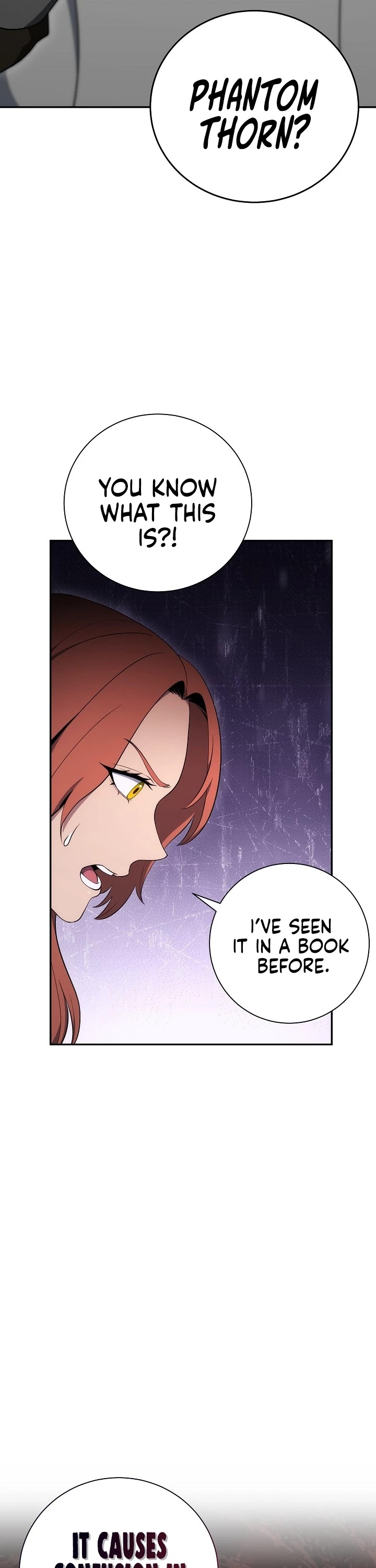 Skeleton Soldier Couldn’t Protect the Dungeon Chapter 167 page 19 - Chapter 167