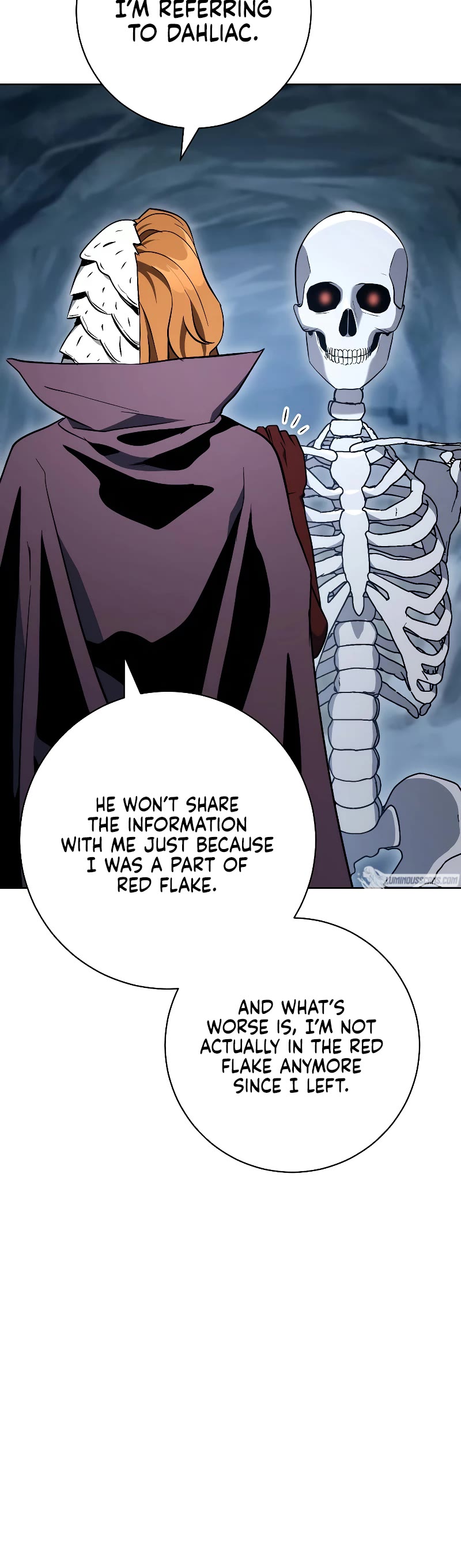 Skeleton Soldier Couldn’t Protect the Dungeon Chapter 205 page 25 - Chapter 205