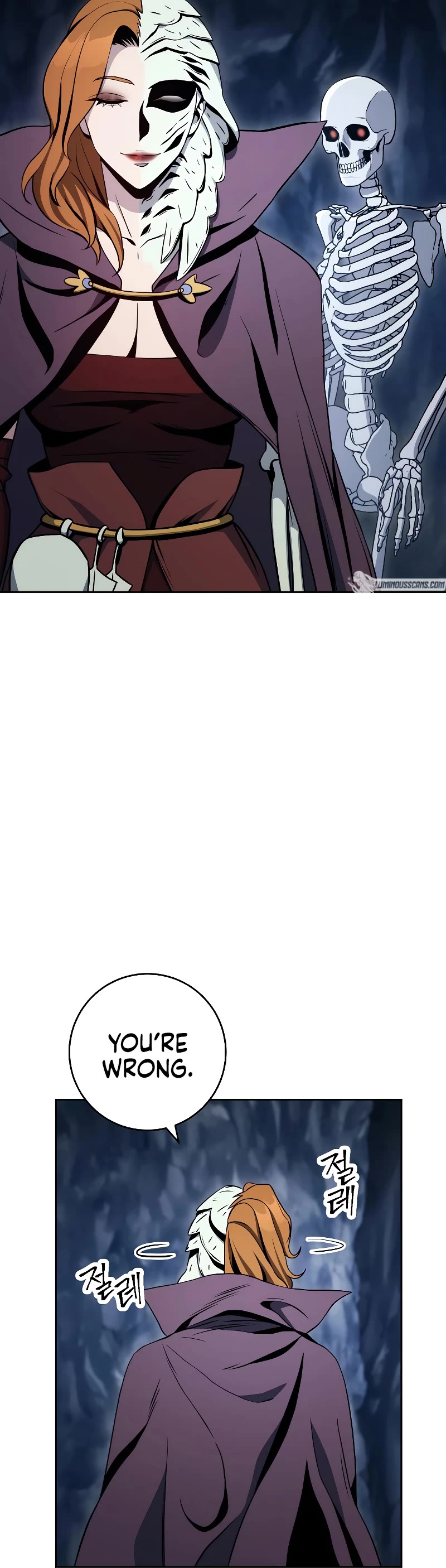 Skeleton Soldier Couldn’t Protect the Dungeon Chapter 206 page 25 - Chapter 206
