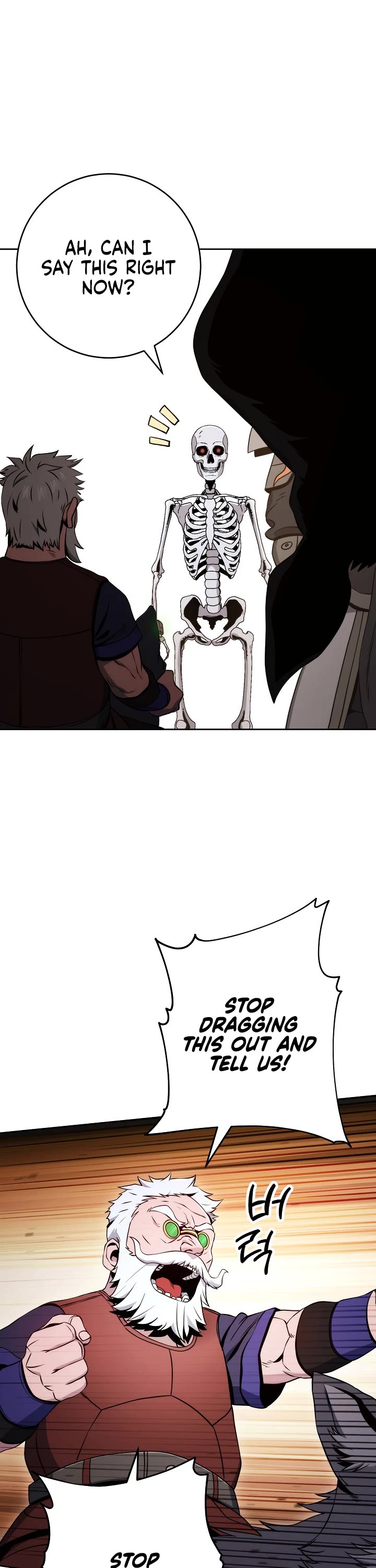 Skeleton Soldier Couldn’t Protect the Dungeon Chapter 213 page 17 - Chapter 213