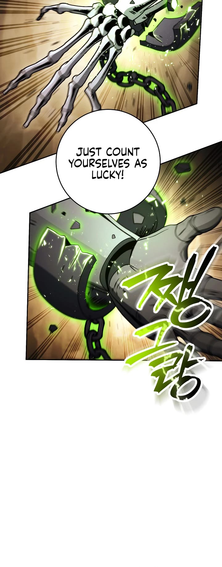 Skeleton Soldier Couldn’t Protect the Dungeon Chapter 214 page 12 - Chapter 214