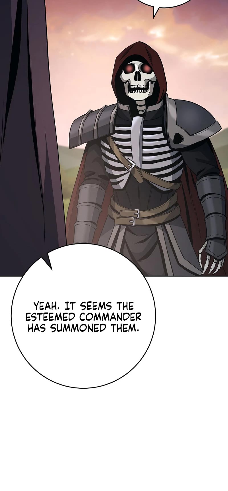Skeleton Soldier Couldn’t Protect the Dungeon Chapter 263 page 25 - Chapter 263