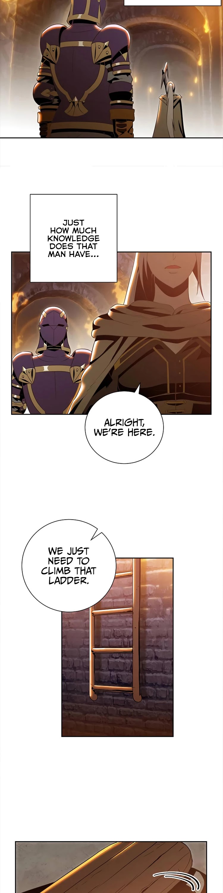 Skeleton Soldier Couldn’t Protect the Dungeon Chapter 79 page 19 - Chapter 79