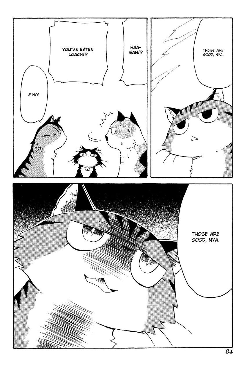 Sketchbook Shucchouban Chapter 8 page 4 - Chapter 8 : Mike-san and The Foreign Cat