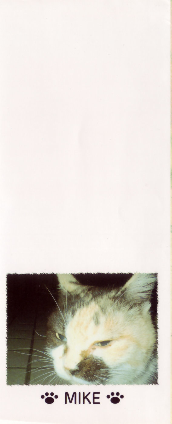 Sketchbook Chapter 1 page 4 - Chapter 1