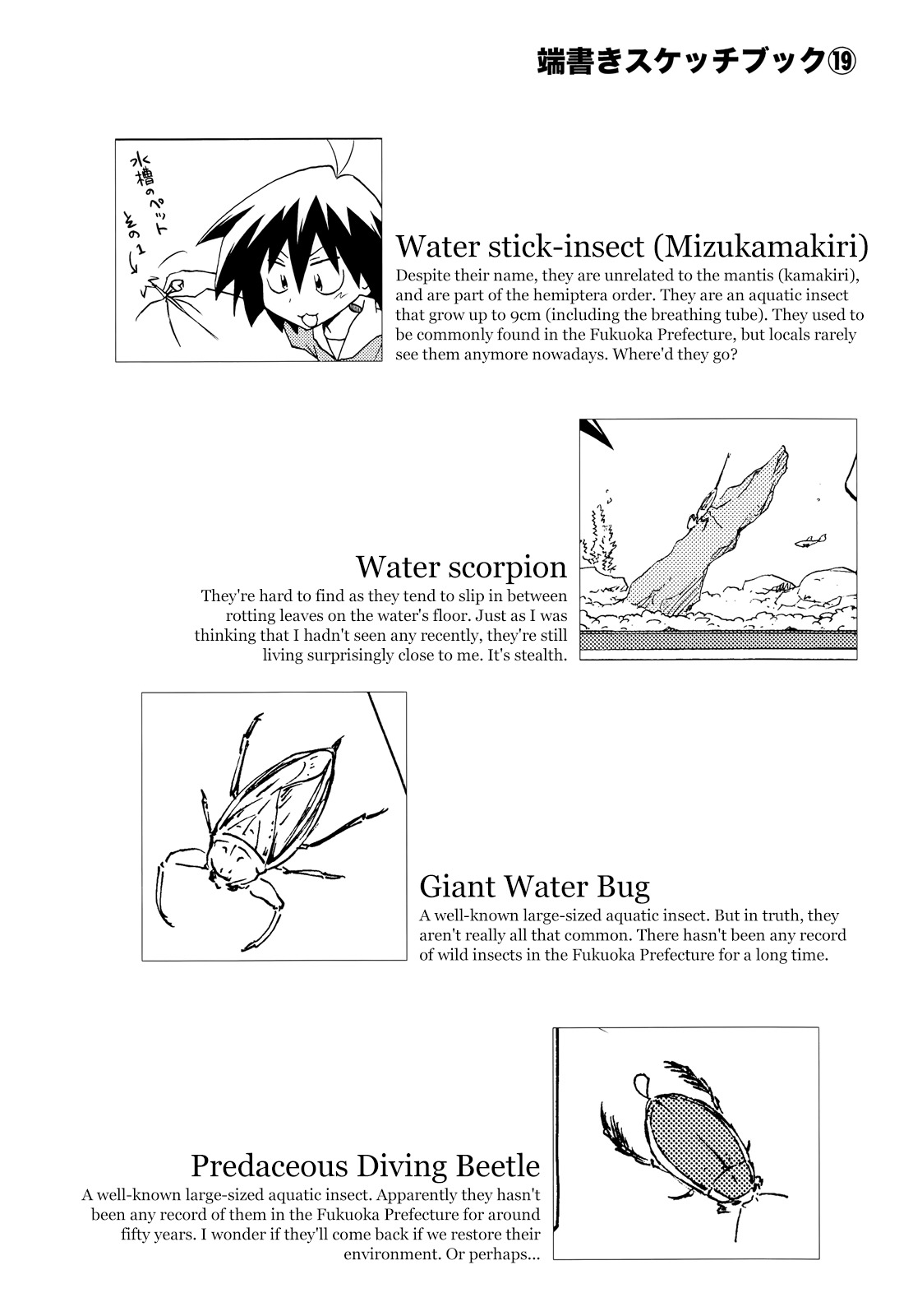 Sketchbook Chapter 113 page 10 - Chapter 113