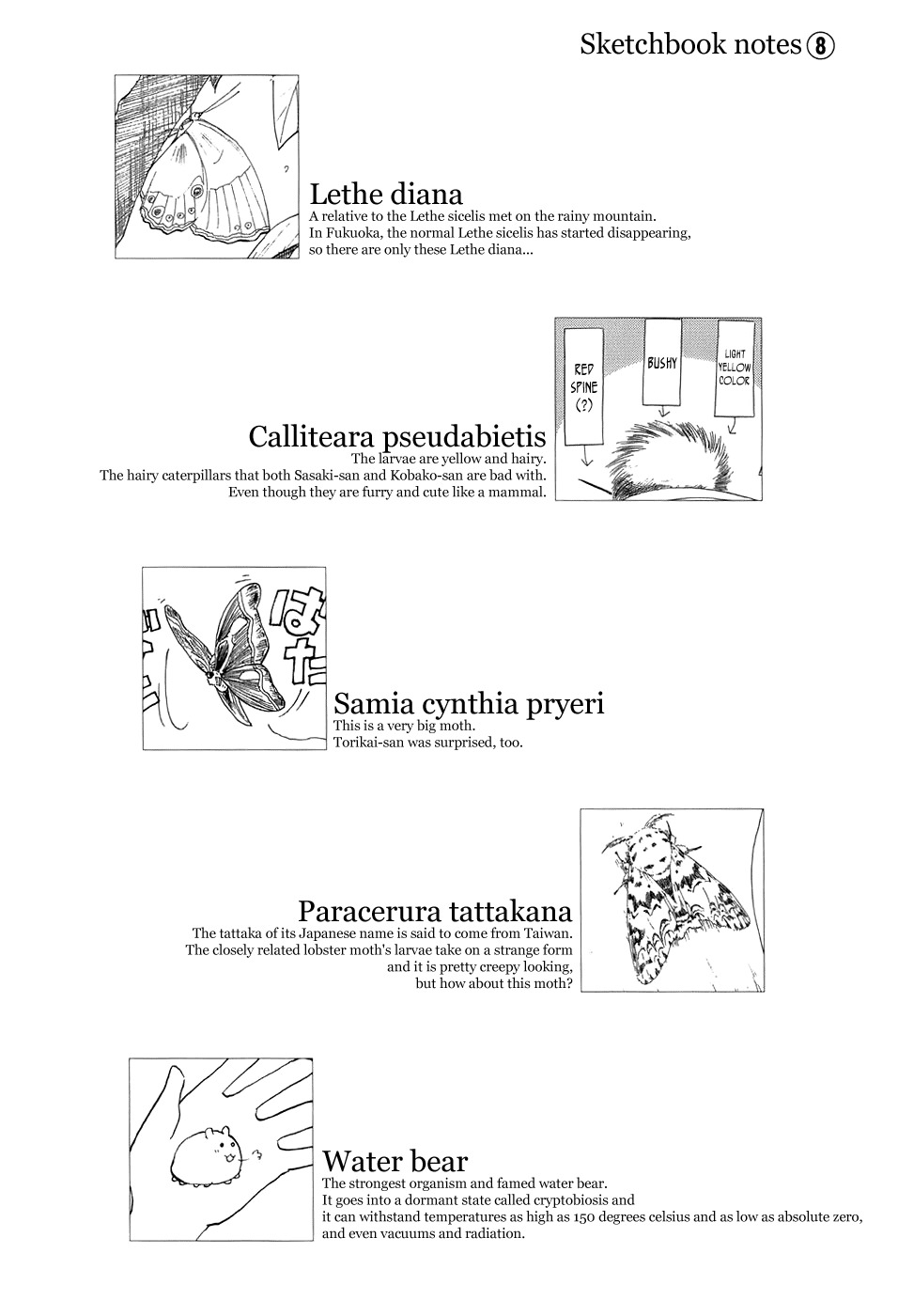 Sketchbook Chapter 68 page 10 - Chapter 68