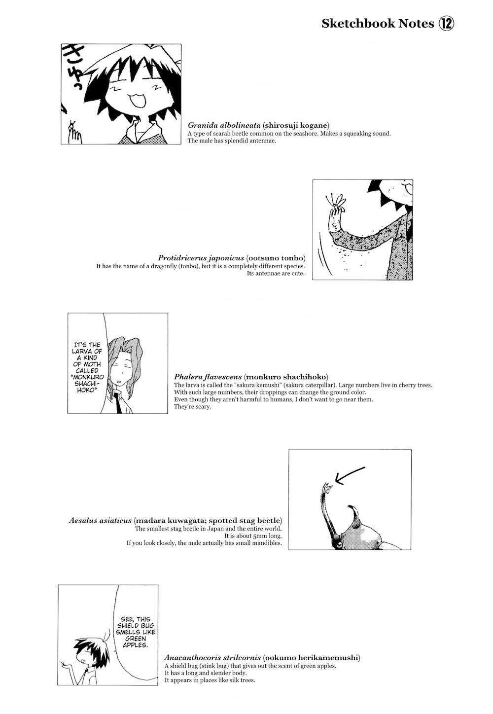 Sketchbook Chapter 78 page 10 - Chapter 78