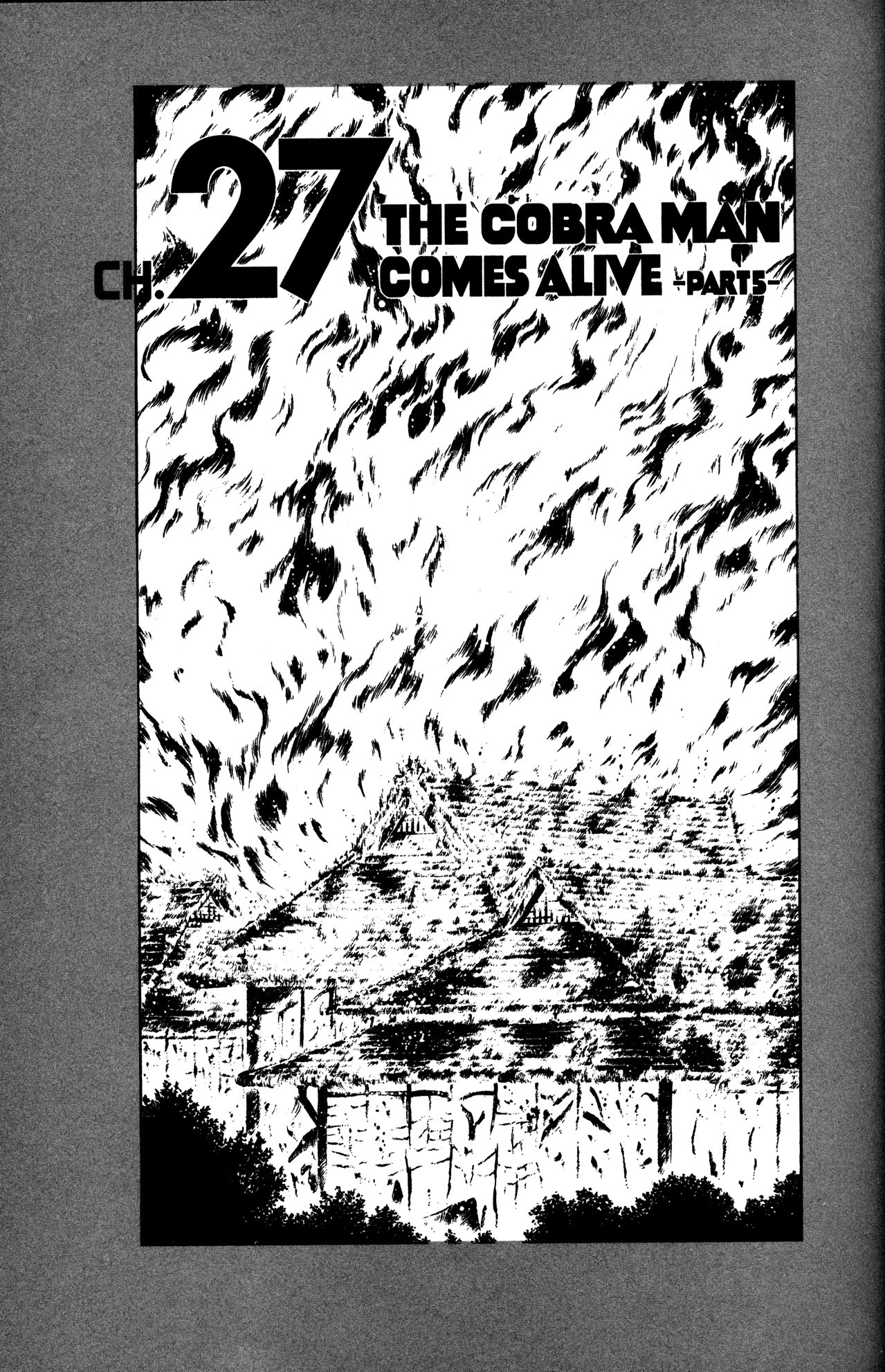 Skull Man (SHIMAMOTO Kazuhiko) Chapter 27 page 1 - Chapter 27: The Cobra Man Comes Alive -Part 5-