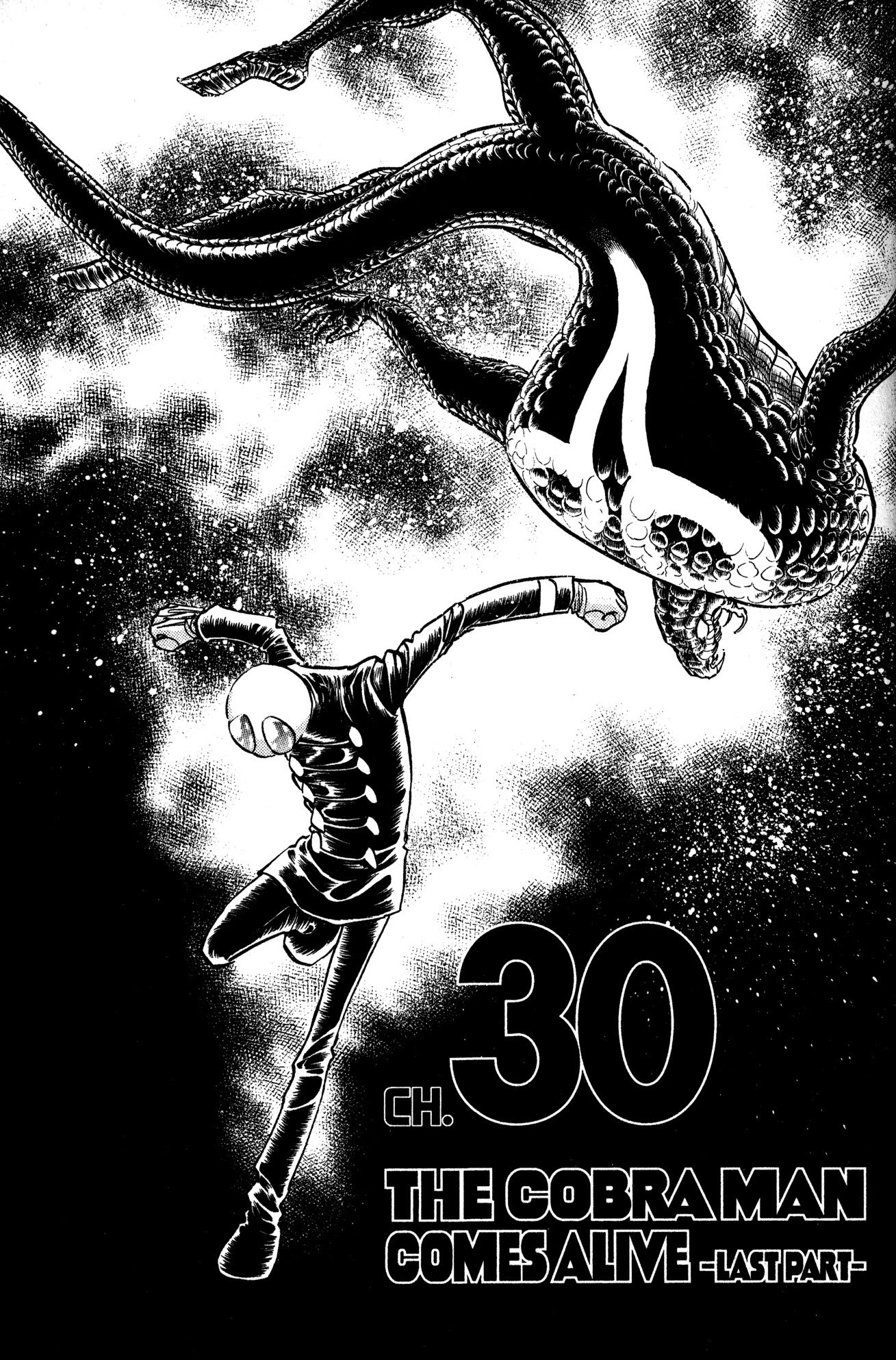 Skull Man (SHIMAMOTO Kazuhiko) Chapter 30 page 1 - Chapter 30: The Cobra Man Comes Alive -Last Part-