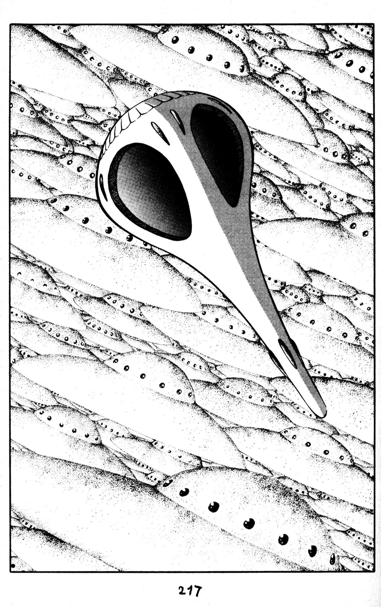 Skull Man (SHIMAMOTO Kazuhiko) Chapter 50 page 16 - Chapter 50: Prologue for Days of Long War [END]