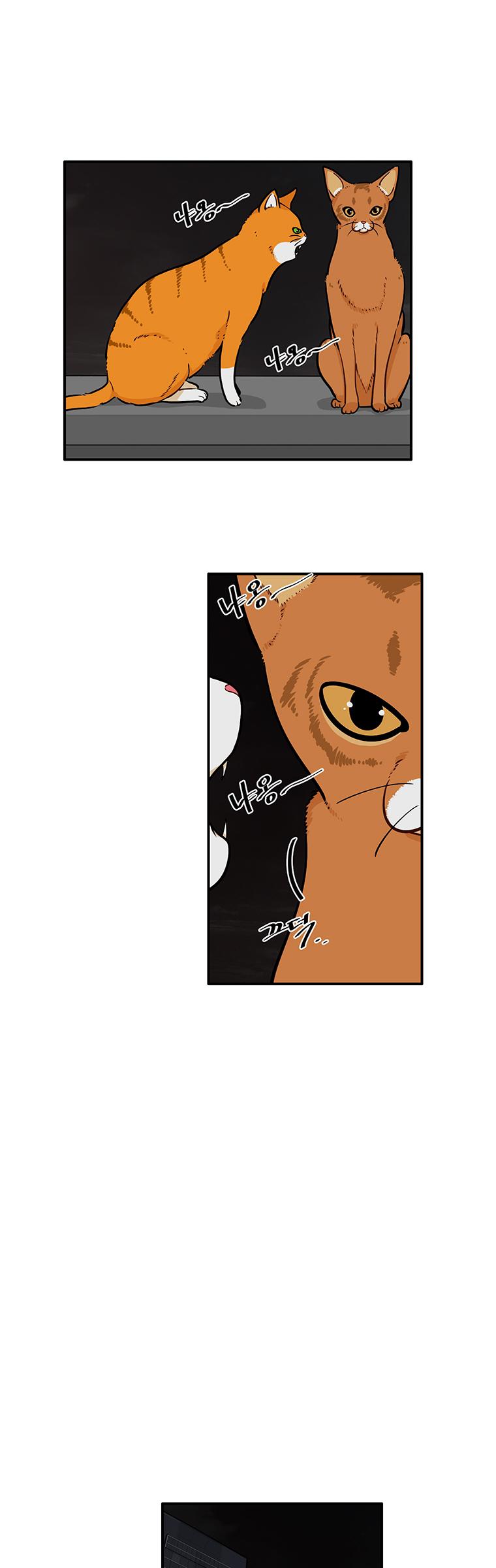 Smash it Girl Chapter 11 page 29 - Chapter 11: Reason for Being Strong