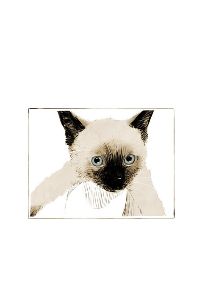 Smile Brush: My Old Pictures Chapter 22 page 18 - Chapter 22 : A Cat