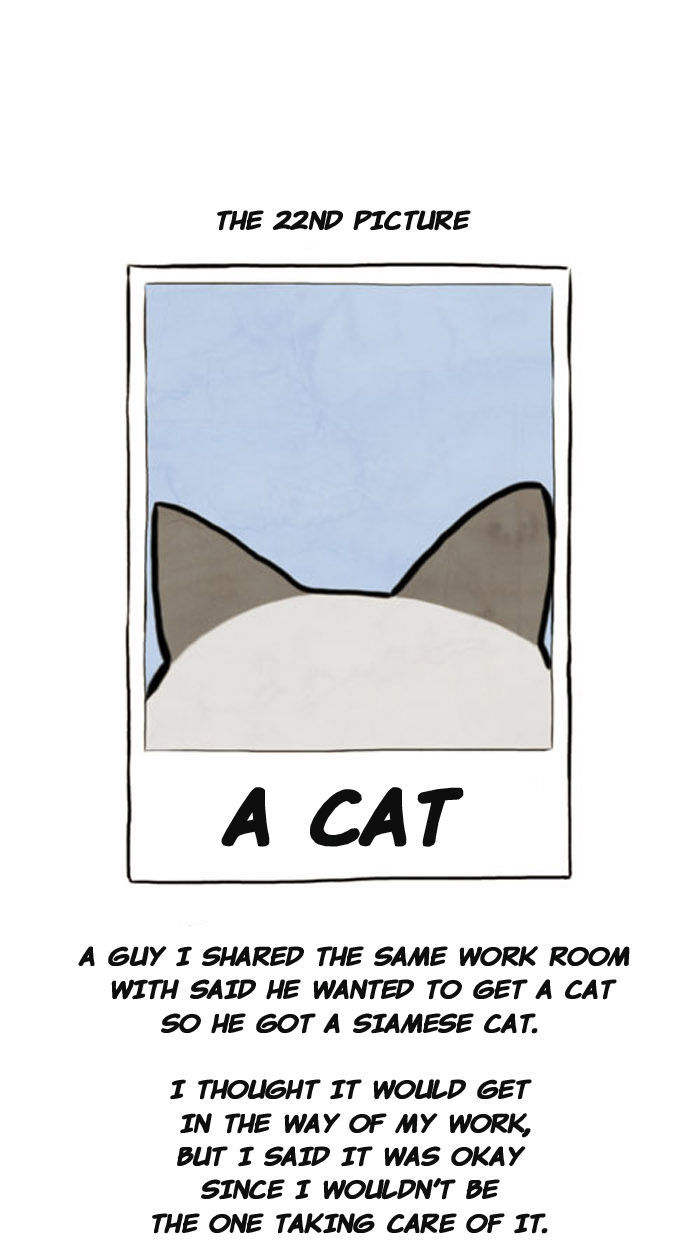 Smile Brush: My Old Pictures Chapter 22 page 2 - Chapter 22 : A Cat