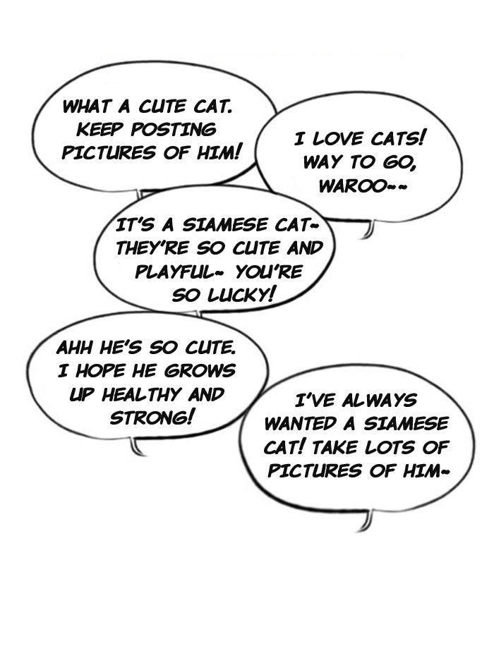 Smile Brush: My Old Pictures Chapter 22 page 20 - Chapter 22 : A Cat