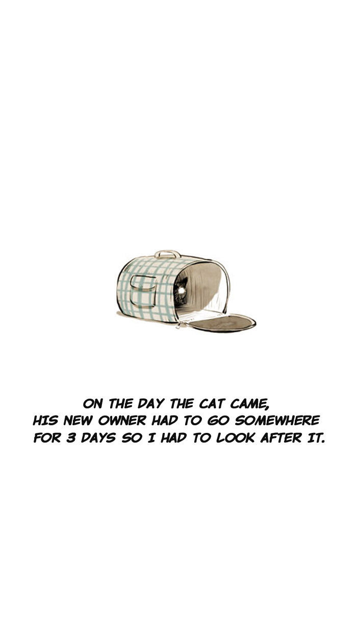 Smile Brush: My Old Pictures Chapter 22 page 3 - Chapter 22 : A Cat