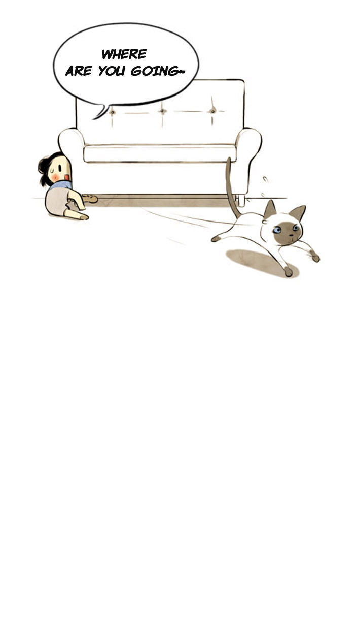Smile Brush: My Old Pictures Chapter 22 page 5 - Chapter 22 : A Cat
