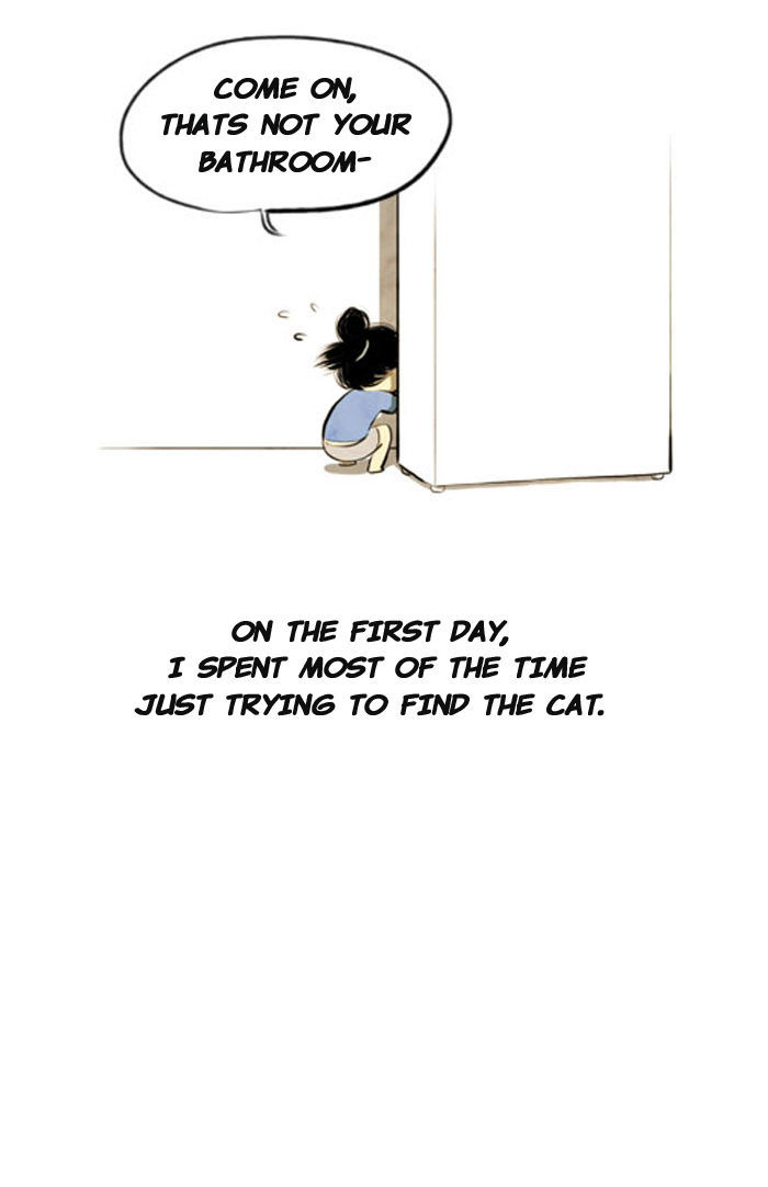 Smile Brush: My Old Pictures Chapter 22 page 6 - Chapter 22 : A Cat