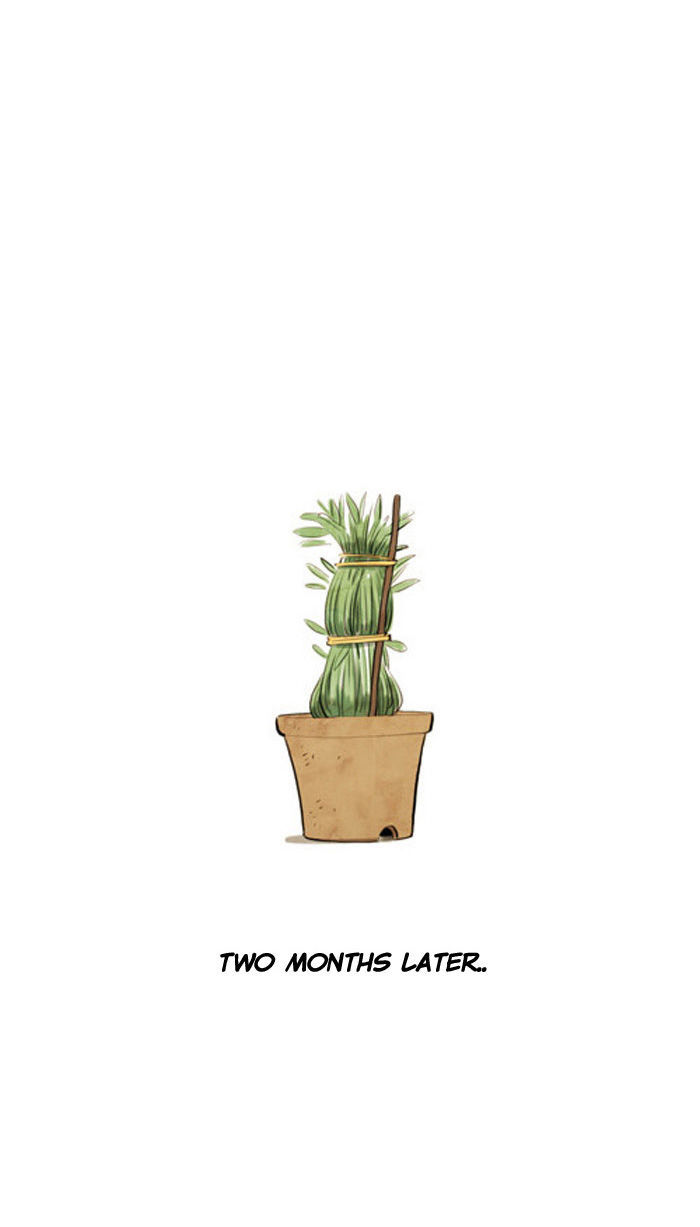 Smile Brush: My Old Pictures Chapter 43 page 13 - Chapter 43 : The Flowerpot