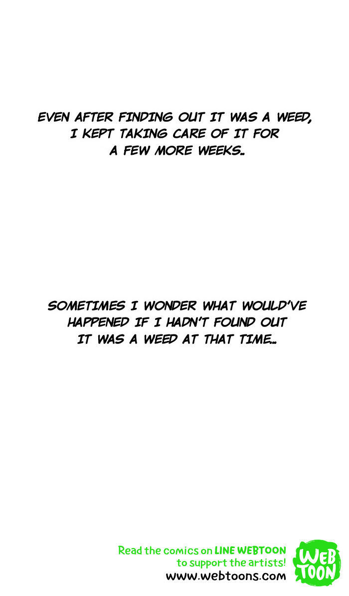 Smile Brush: My Old Pictures Chapter 43 page 18 - Chapter 43 : The Flowerpot