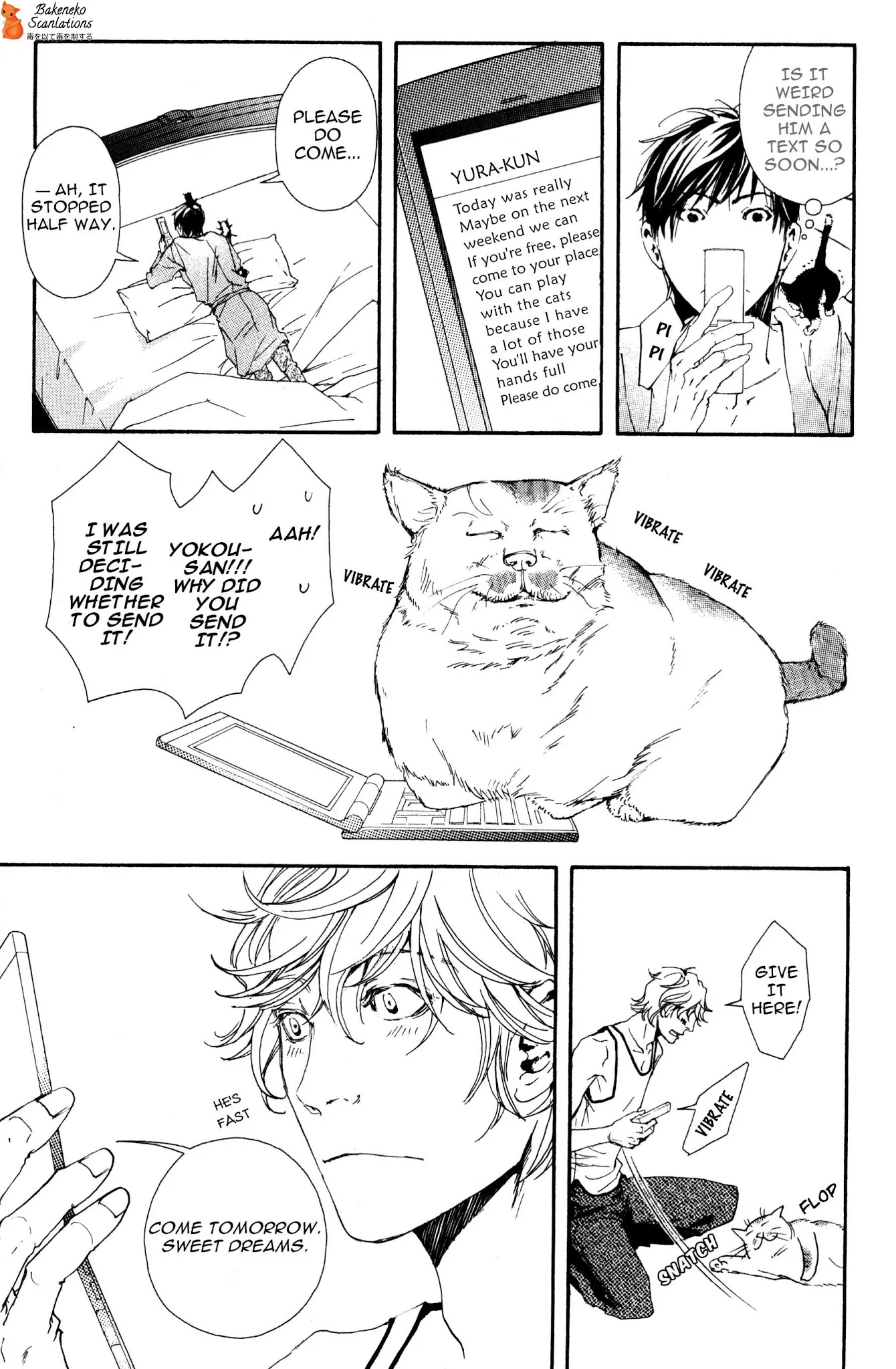 Smoker Chapter 6 page 6 - Chapter 6: Beautiful Maine Coon