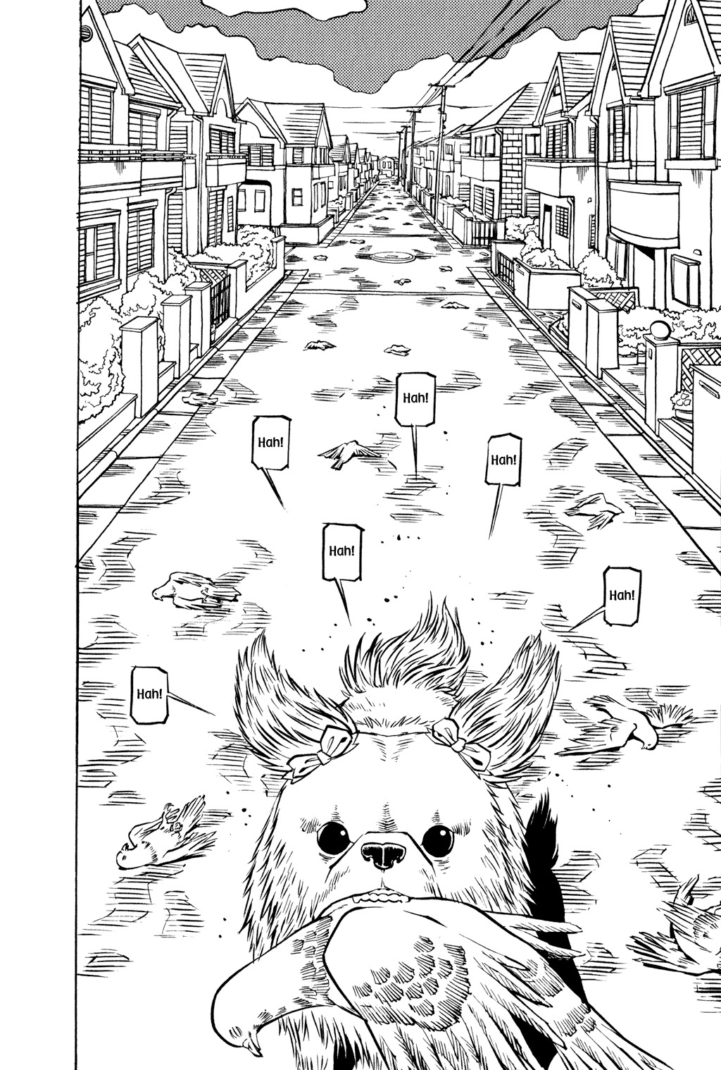 Soil Chapter 25 page 10 - Chapter 25: Block 2-4 [Anomalies]