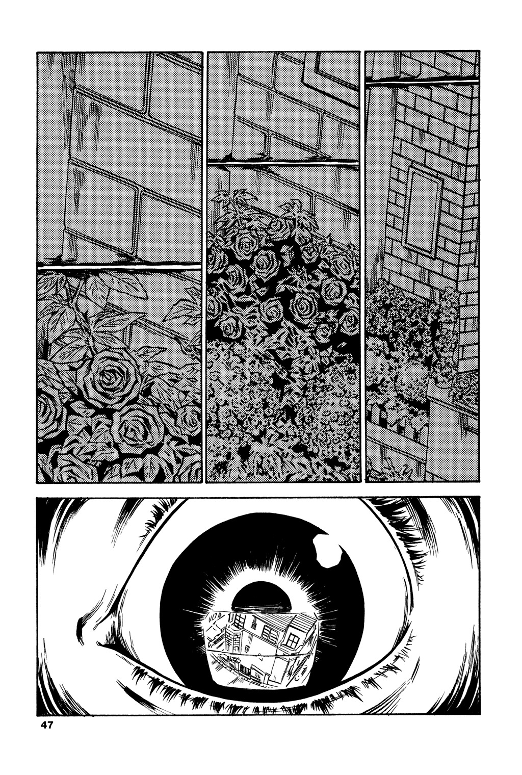 Soil Chapter 42 page 12 - Chapter 42: Block 2-21 [Static]