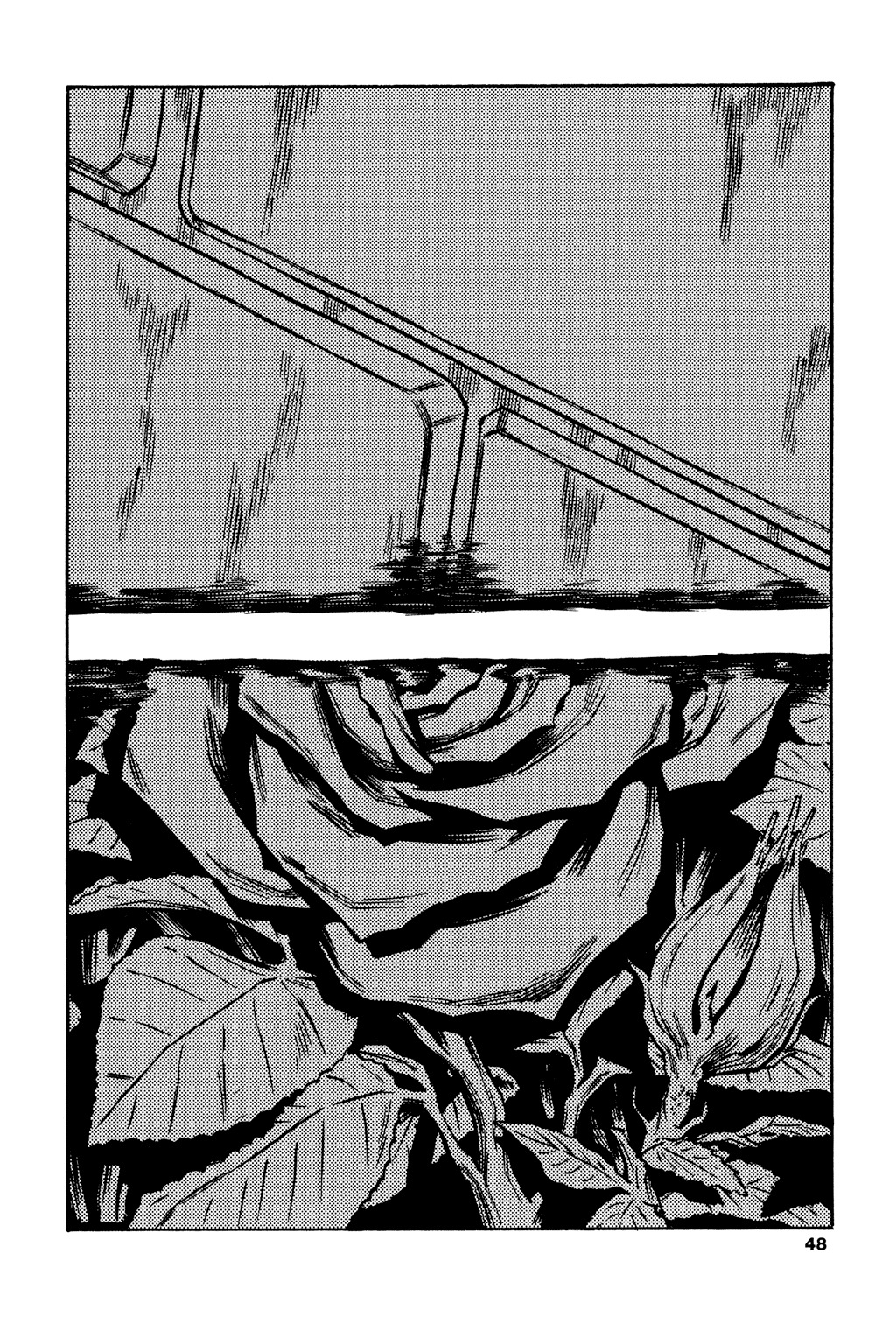 Soil Chapter 42 page 13 - Chapter 42: Block 2-21 [Static]