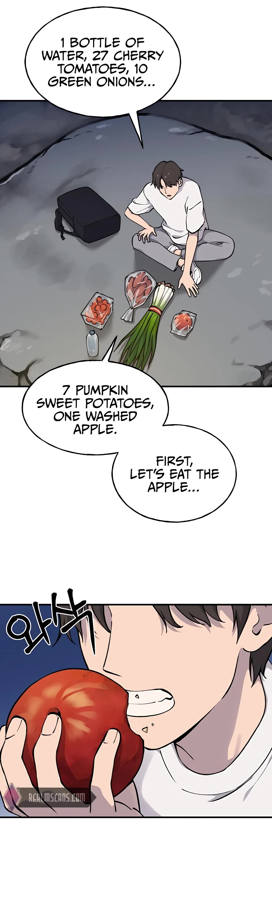 Solo Farming in the Tower Chapter 2 page 13 - Chapter 2