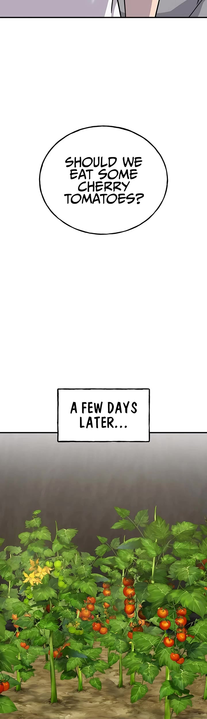 Solo Farming in the Tower Chapter 24 page 61 - Chapter 24