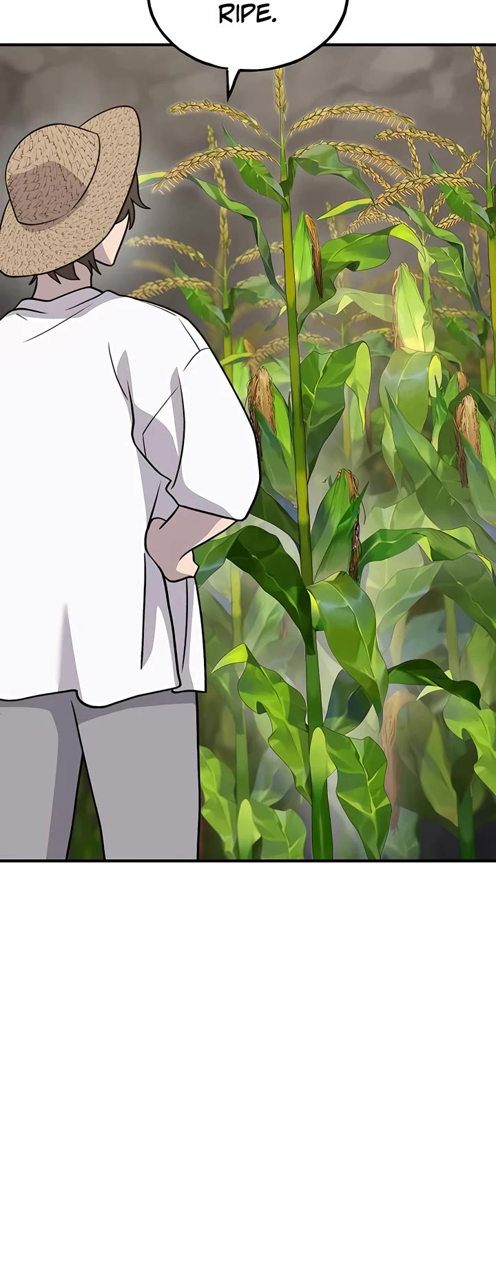 Solo Farming in the Tower Chapter 32 page 23 - Chapter 32
